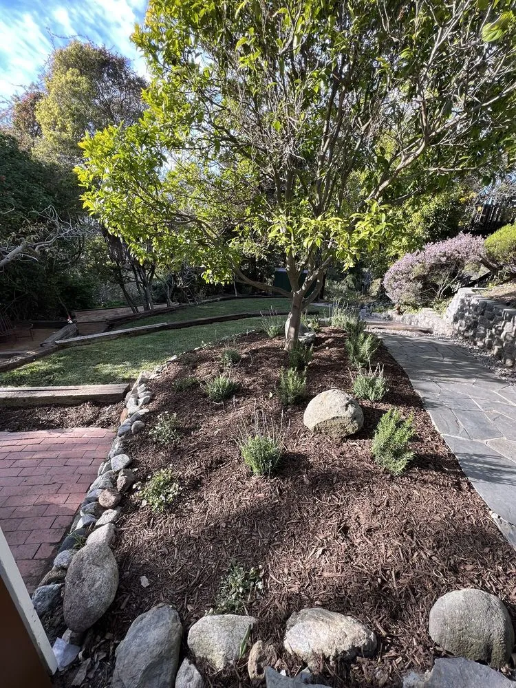 Local landscape installation in Mission Hills, CA by Perez Landworks