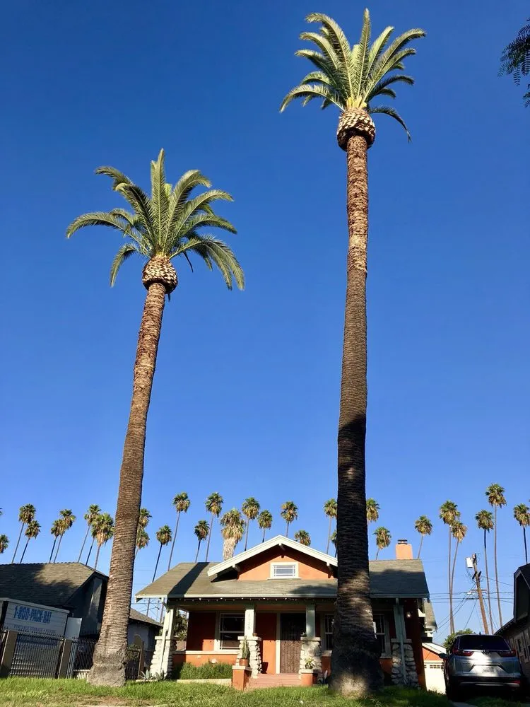 Local landscaping services for residential properties in Mission Hills, CA by Perez Landworks