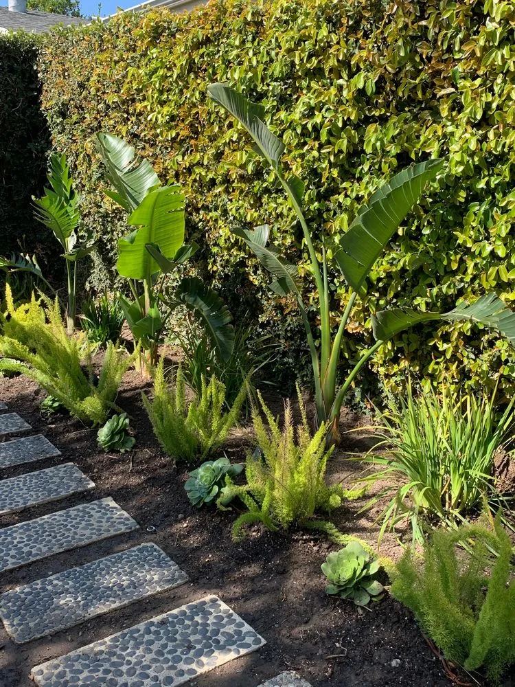 Top-rated outdoor landscaping with custom design across Mission Hills, CA - Perez Landworks