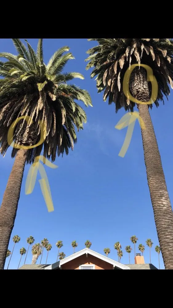 Affordable outdoor landscaping for homes across Mission Hills, CA - Perez Landworks