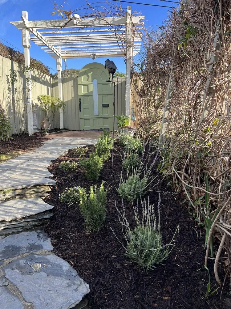 Local yard cleanup service near you in Mission Hills, CA by Perez Landworks