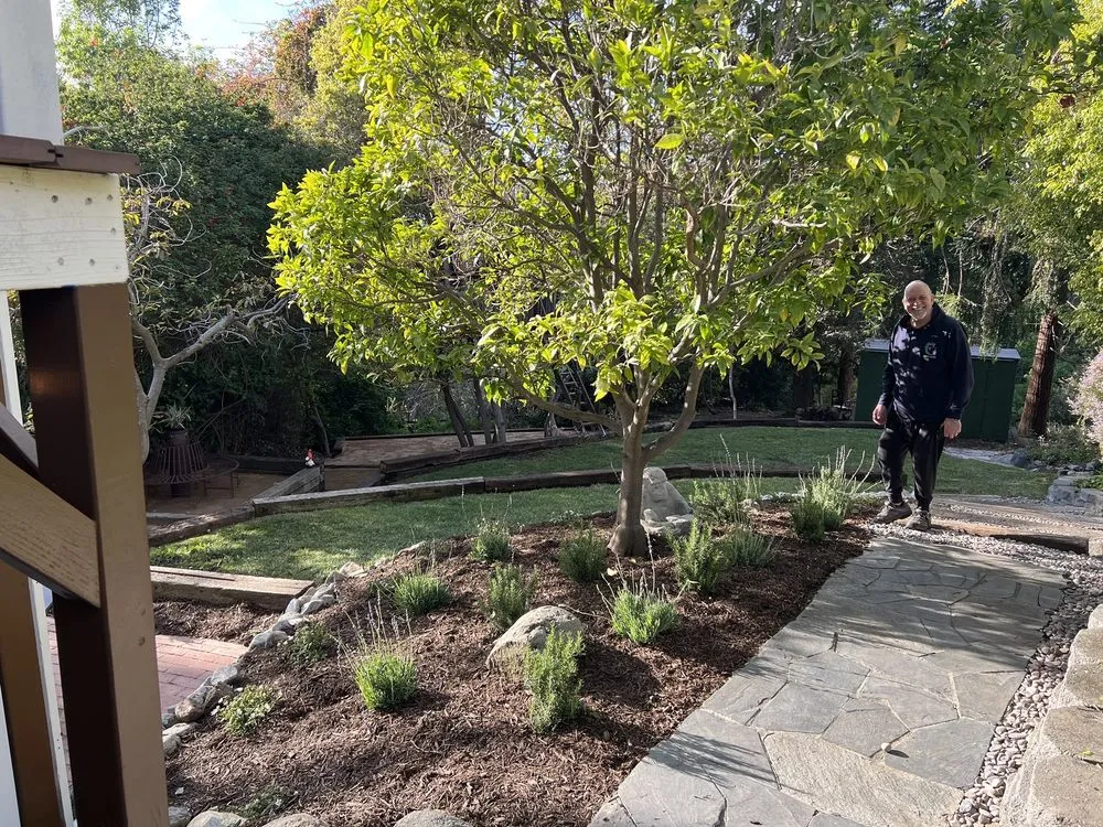 Affordable lawn mowing service in Mission Hills, CA by Perez Landworks