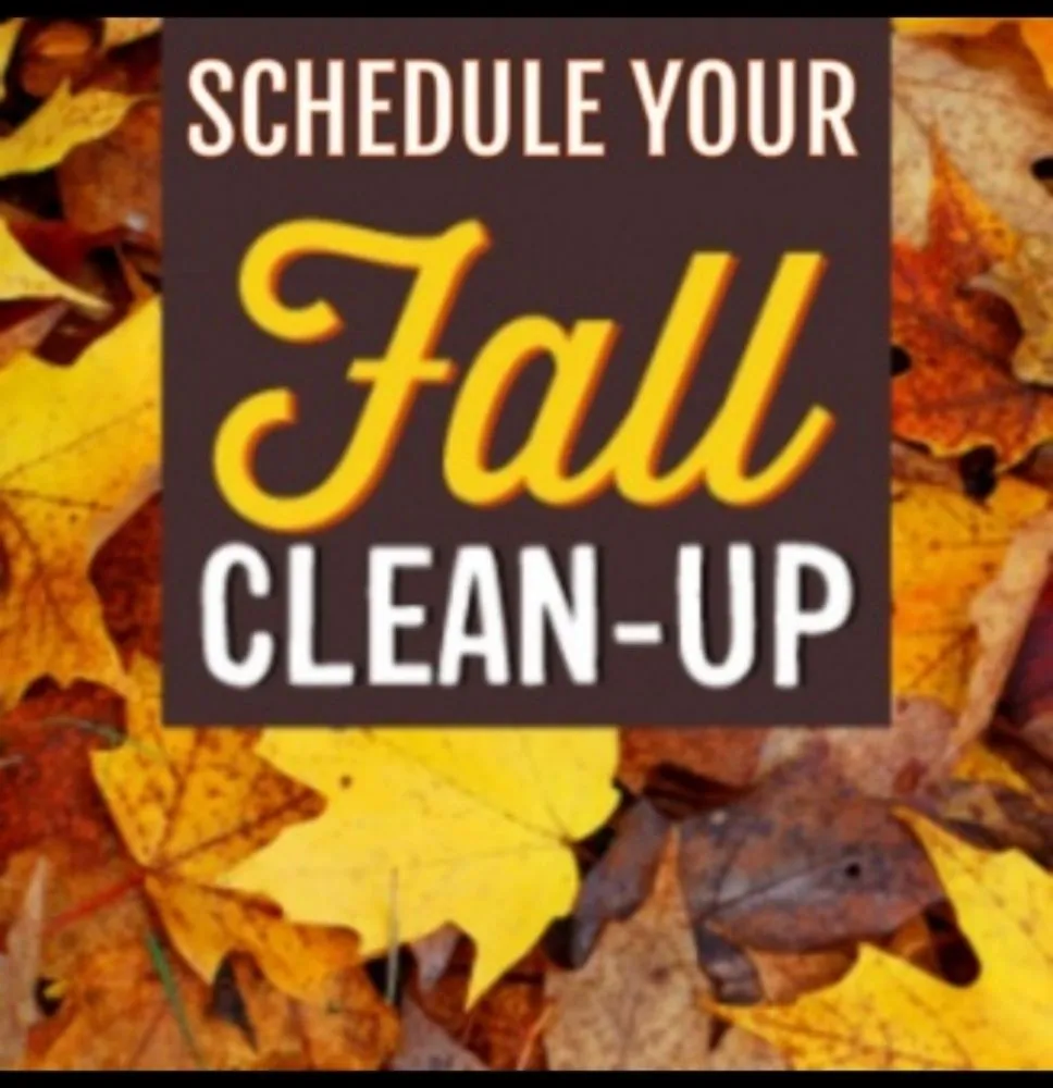 Reliable yard cleanup service in Bartlesville, OK by Perez Lawn & Landscaping