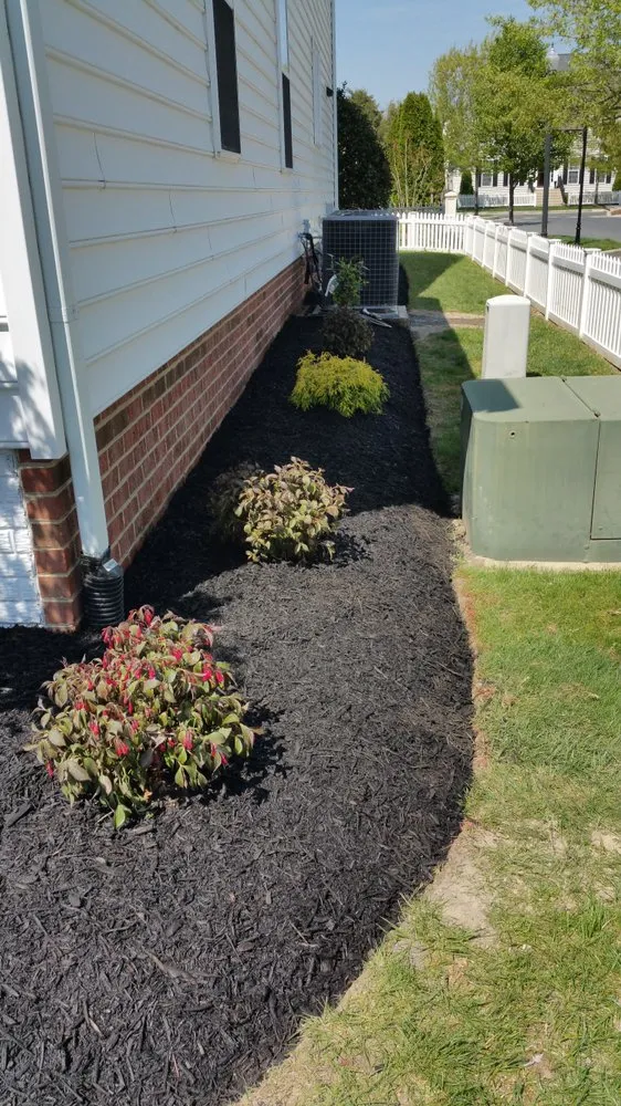 Local landscape installation in Georgetown, DE by Perez lawn & Landscaping