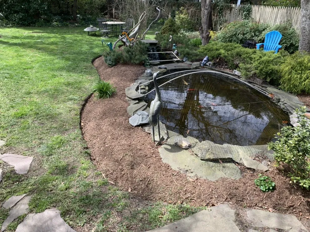 Local yard cleanup service near you across Georgetown, DE - Perez lawn & Landscaping