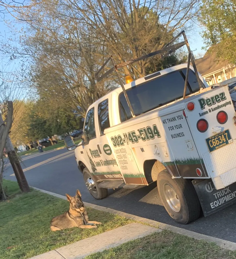 Top-rated landscape design for beautiful yards across Georgetown, DE - Perez lawn & Landscaping