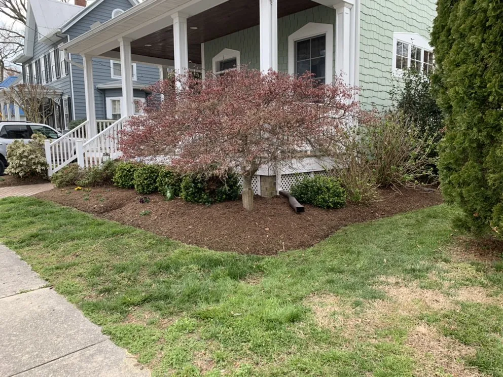 Affordable lawn care service in Georgetown, DE by Perez lawn & Landscaping