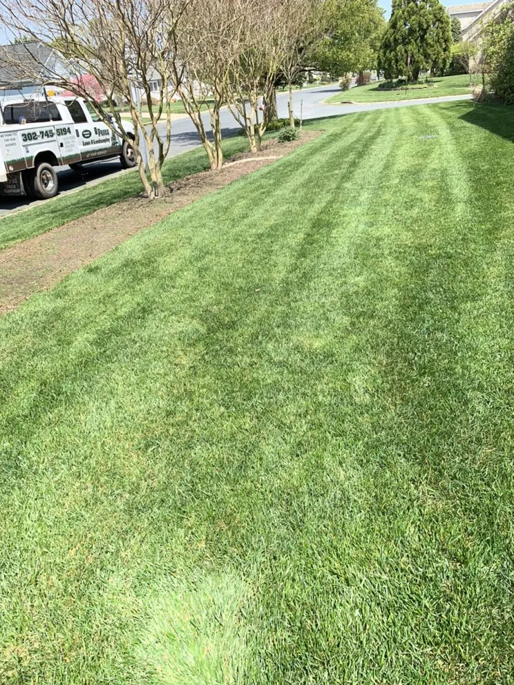 Local lawn care service near you in Georgetown, DE by Perez lawn & Landscaping