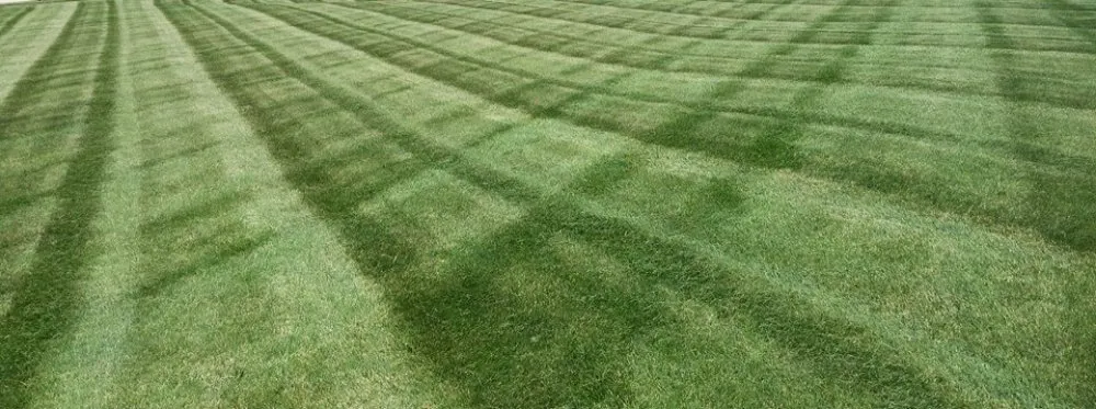 Top-rated outdoor landscaping in Iowa City, IA - Perez Lawn & Landscaping