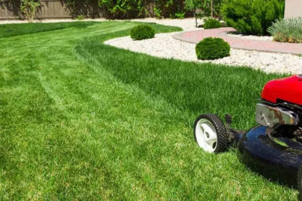 Trusted landscaping services with custom design across Iowa City, IA - Perez Lawn & Landscaping