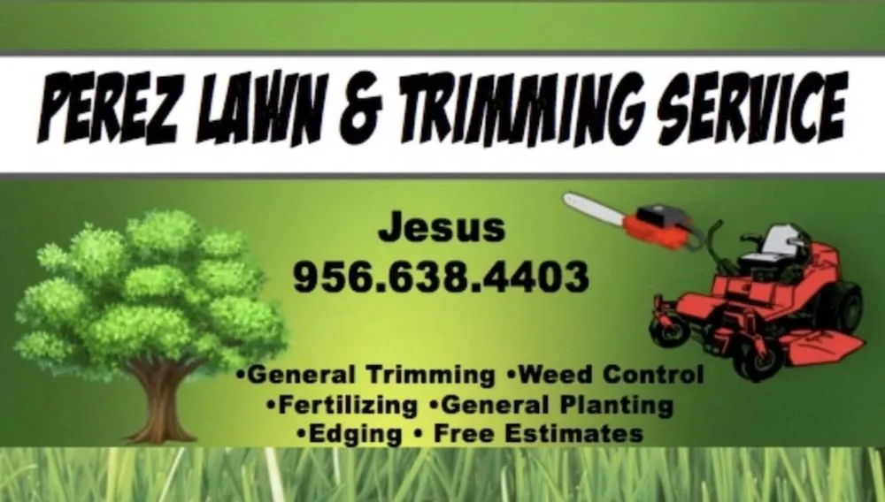 Top-rated landscape installation in San Juan, TX - Perez Lawn & Tree Service