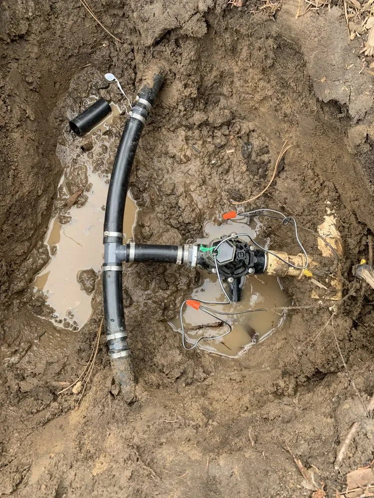 Trusted yard maintenance in Fort Lupton, CO - Perez Lawn and Landscaping Solutions