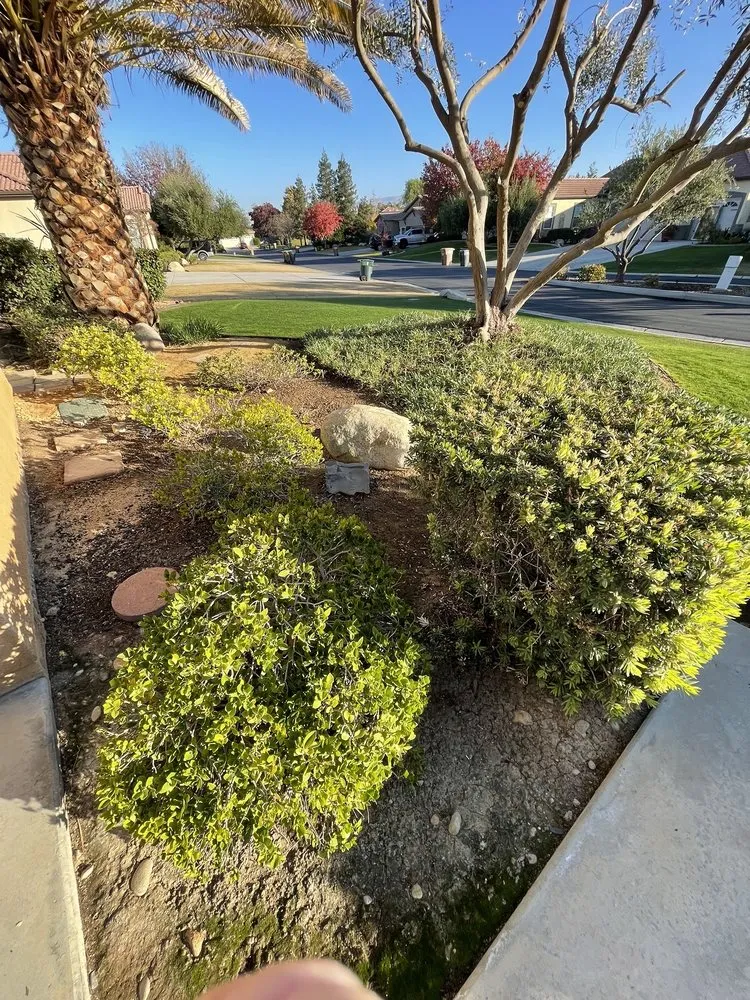 Expert garden landscaping experts serving Bakersfield, CA - Perez Lawn Care