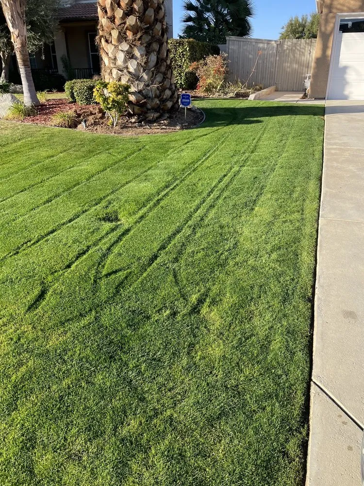 Top-rated yard cleanup service near you in Bakersfield, CA by Perez Lawn Care
