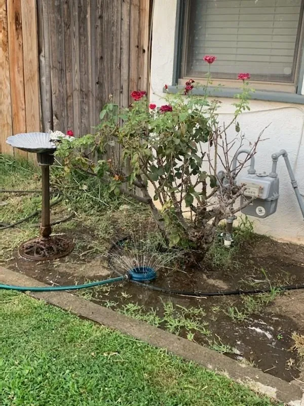 Local garden landscaping for year-round maintenance across Bakersfield, CA - Perez Lawn Care