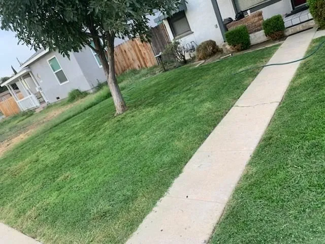 Top-rated outdoor landscaping for homes in Bakersfield, CA by Perez Lawn Care