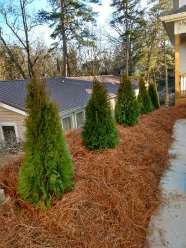 Professional landscape design for residential properties in East Ridge, TN by Perez Lawn Care