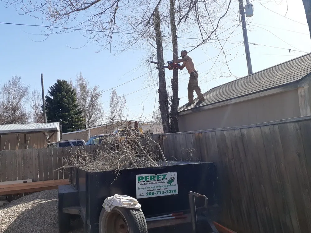 Expert yard cleanup service experts serving Nampa, ID - Perez Lawn Care