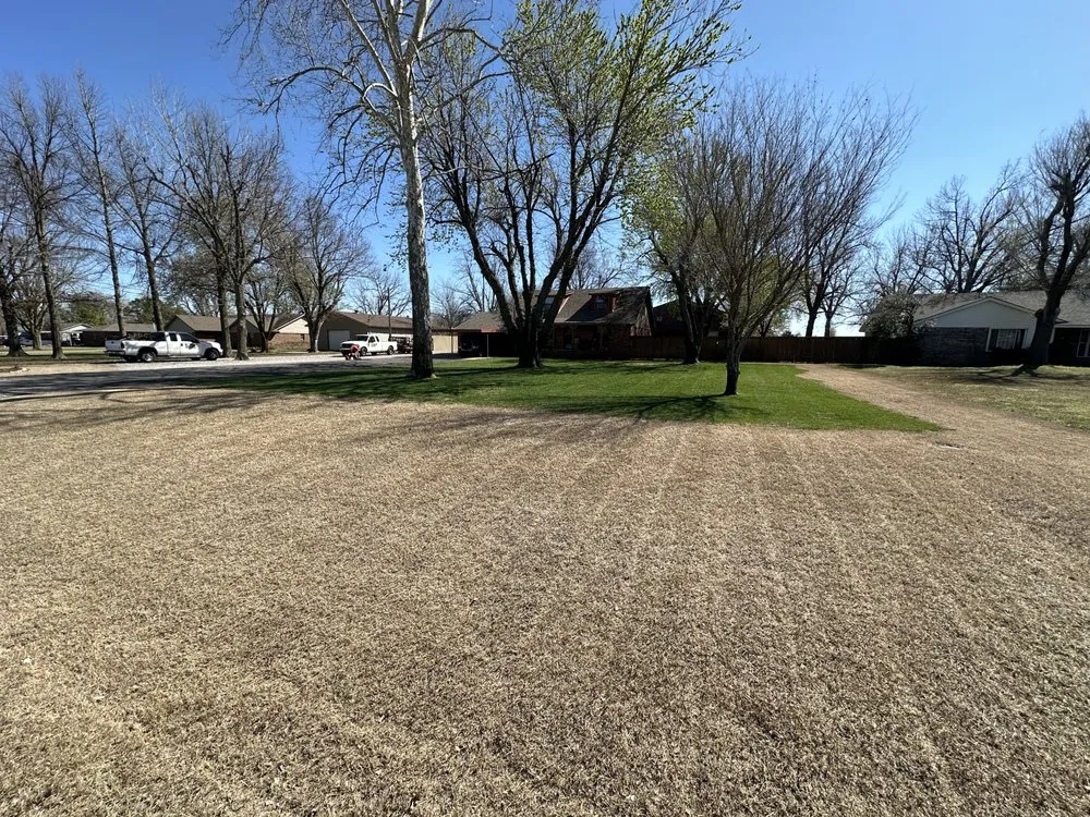 Reliable yard cleanup service near you in Oklahoma City, OK by Perez Lawn Care