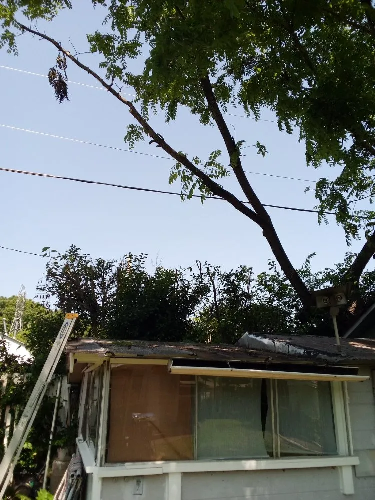 Custom outdoor landscaping in Rock Hill, SC - Perez Lawn Care