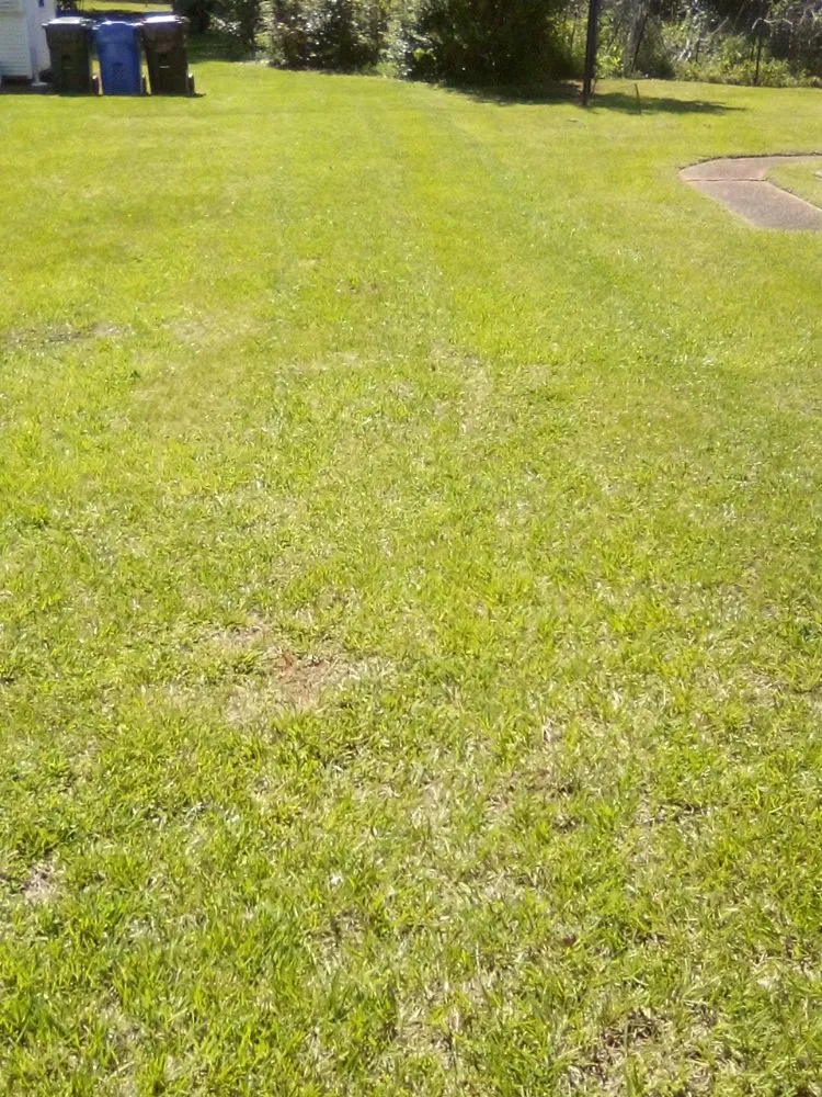 Top-rated yard cleanup service near you across Rock Hill, SC - Perez Lawn Care