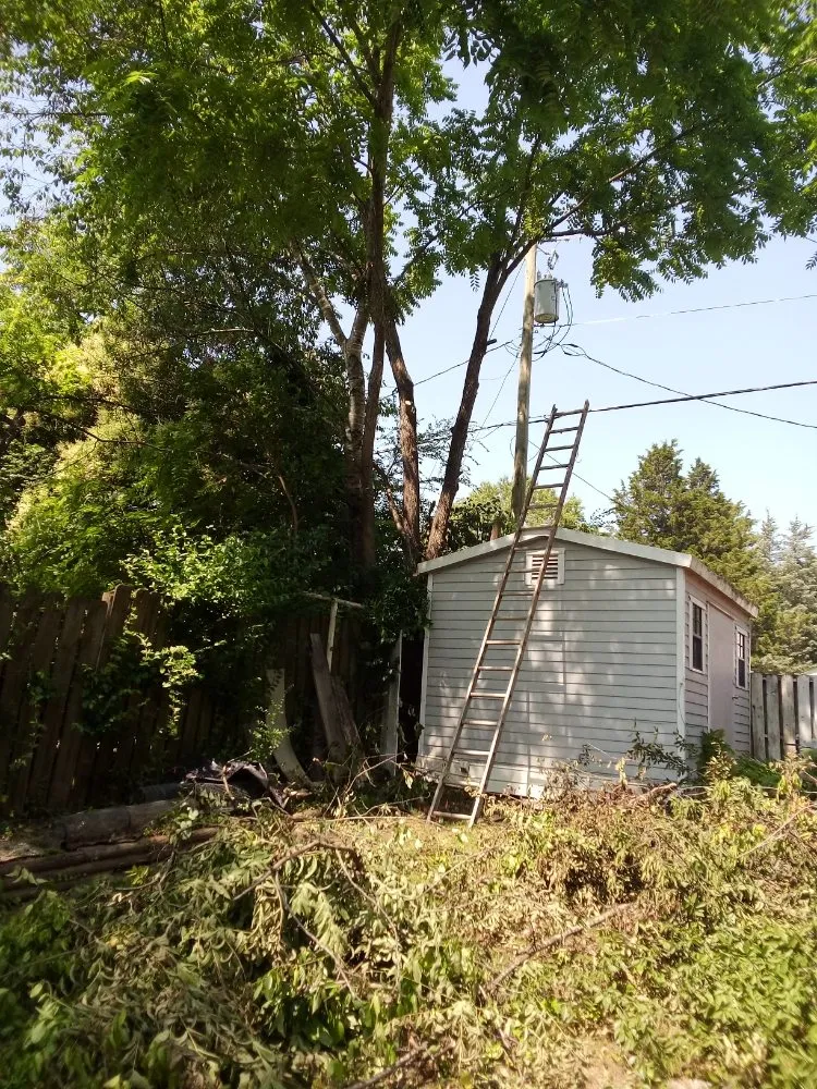 Expert landscape design in Rock Hill, SC by Perez Lawn Care