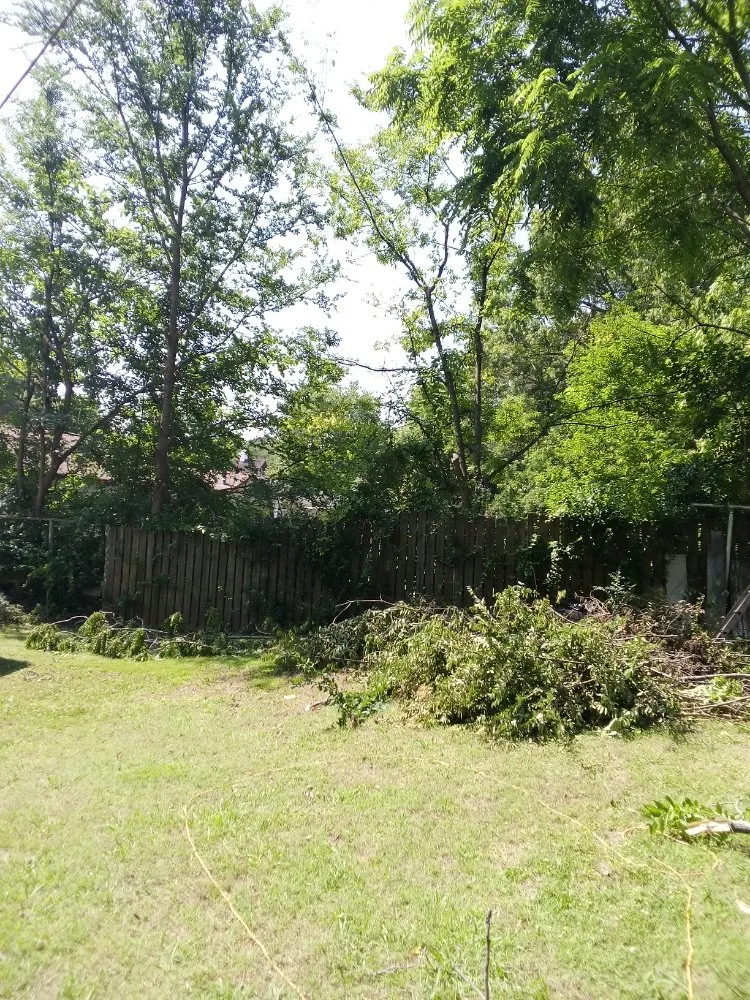 Top-rated landscape installation for residential properties across Rock Hill, SC - Perez Lawn Care