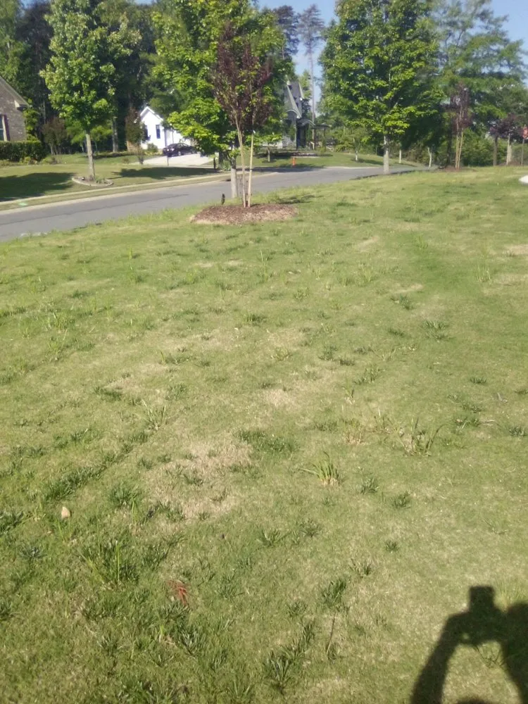 Reliable yard maintenance for residential properties across Rock Hill, SC - Perez Lawn Care