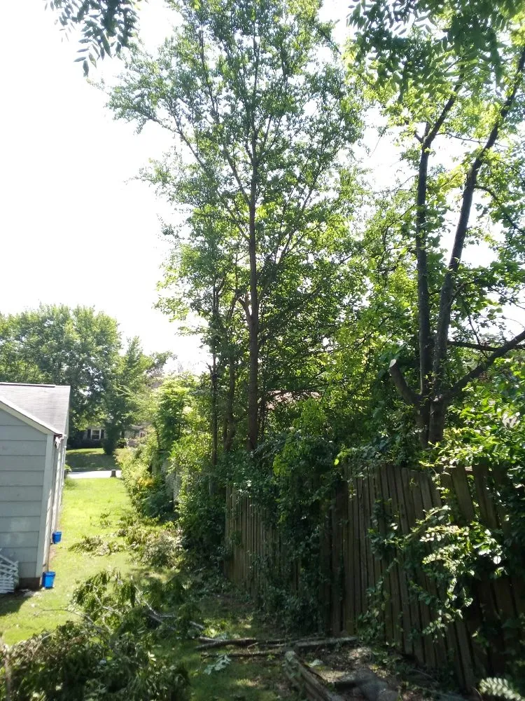 Local yard cleanup service for homes in Rock Hill, SC by Perez Lawn Care