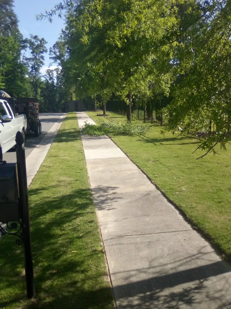 Affordable yard maintenance for outdoor upgrades across Rock Hill, SC - Perez Lawn Care