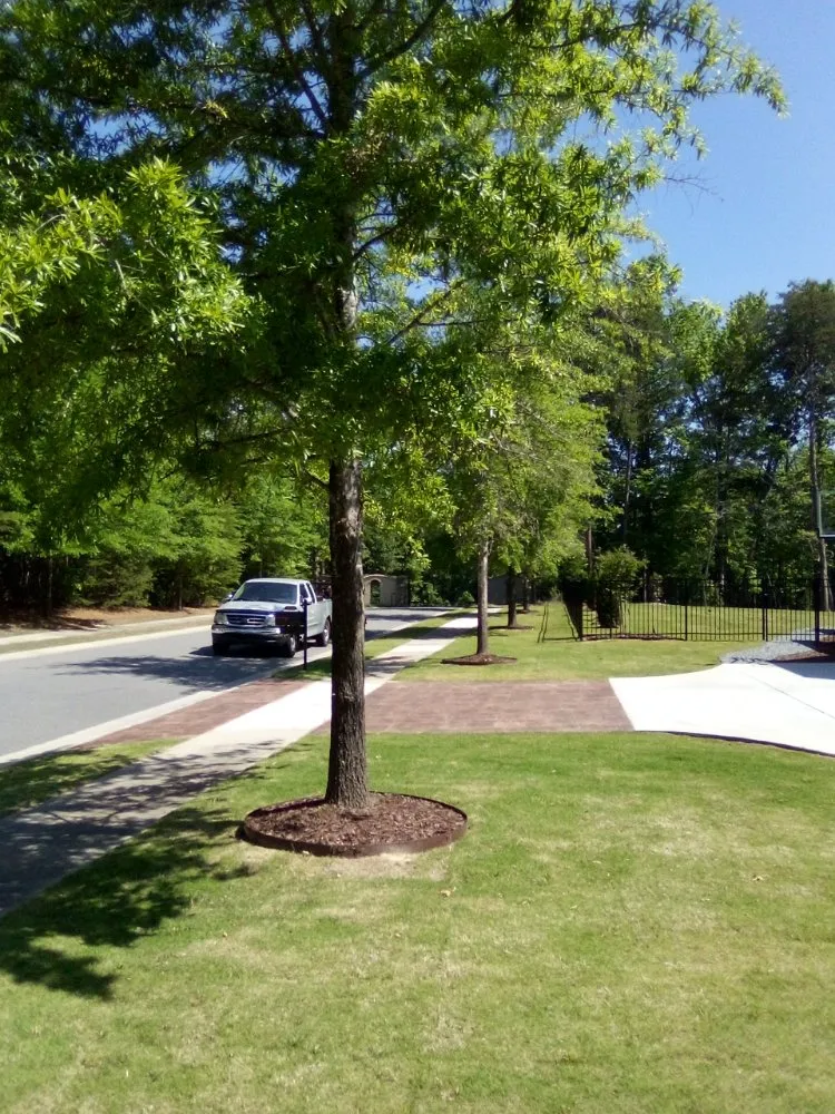 Reliable lawn care service in Rock Hill, SC - Perez Lawn Care