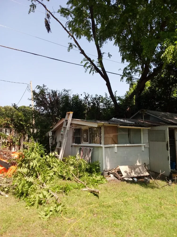 Reliable yard cleanup service for outdoor upgrades in Rock Hill, SC by Perez Lawn Care