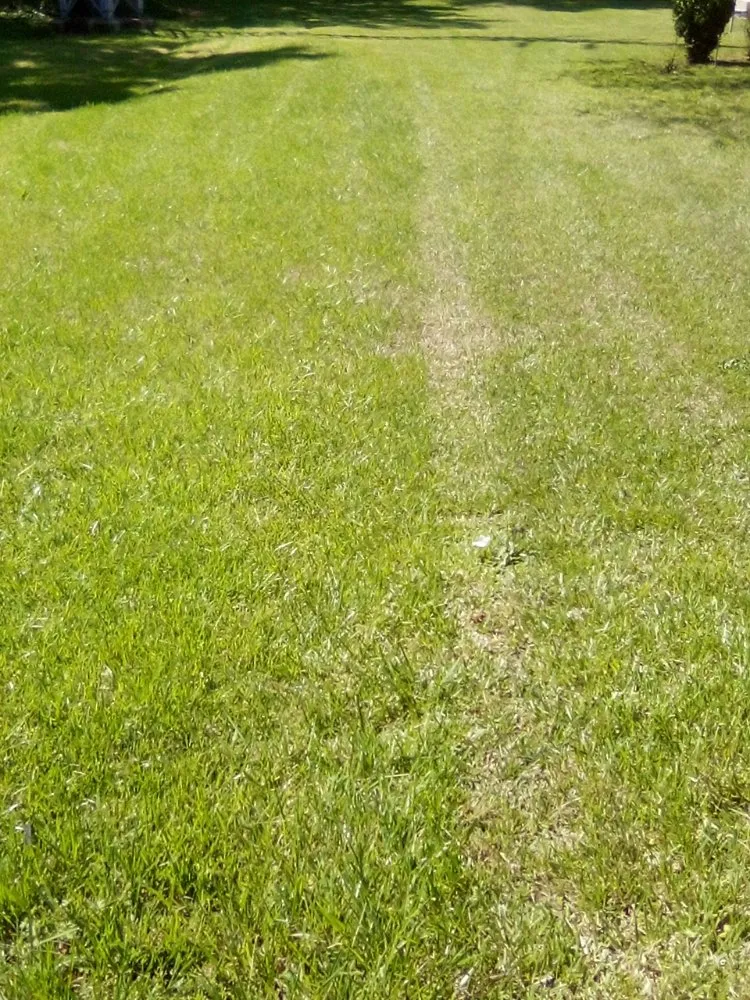 Local garden landscaping for homes across Rock Hill, SC - Perez Lawn Care