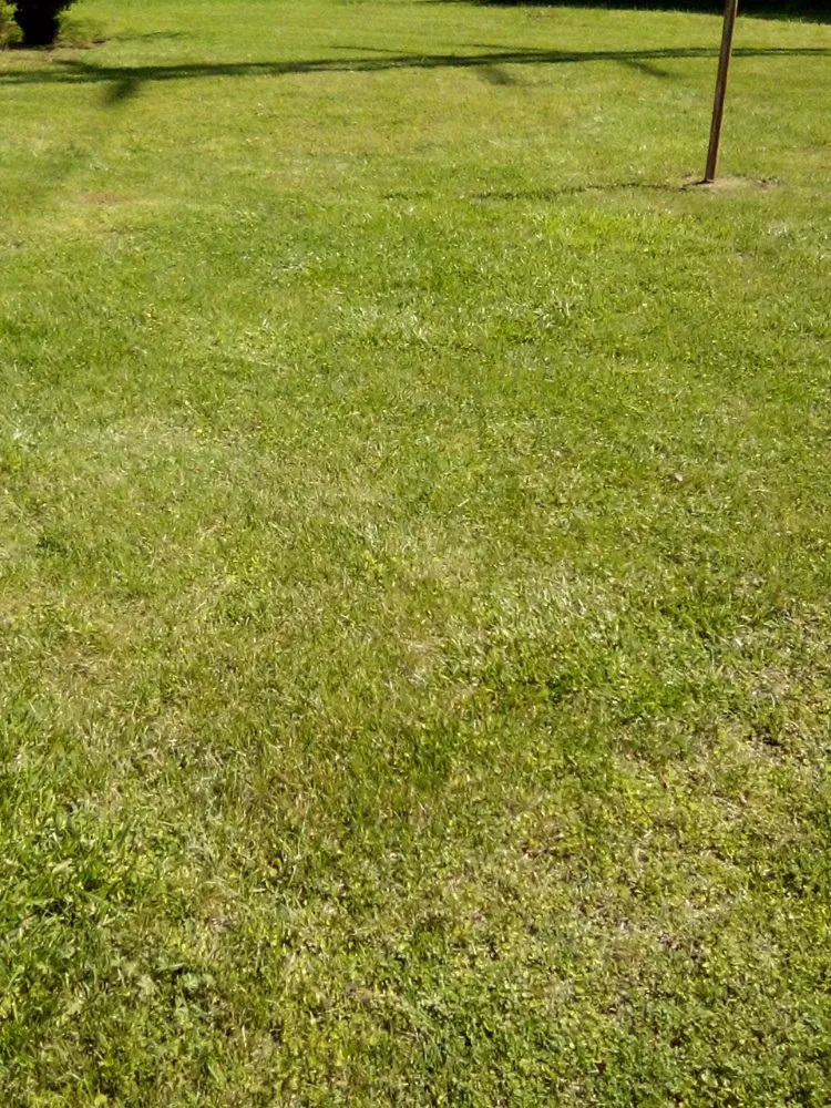 Trusted outdoor landscaping in Rock Hill, SC by Perez Lawn Care