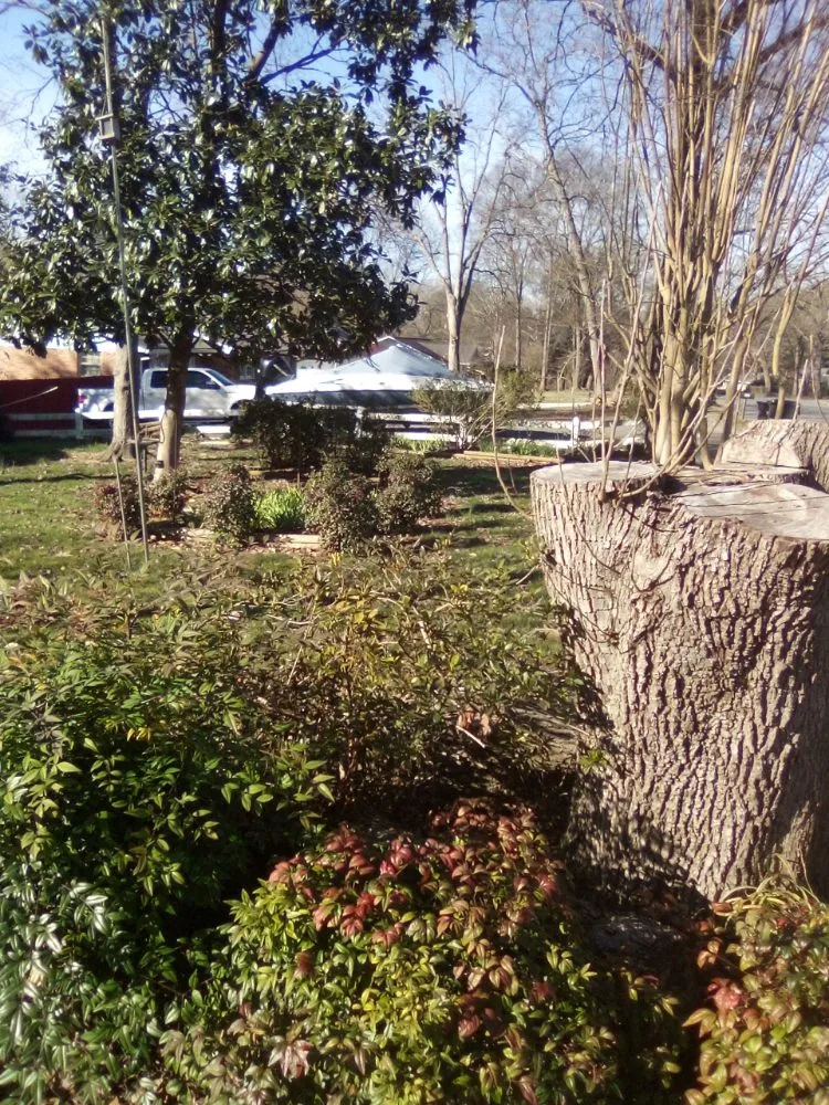Trusted yard maintenance for homes in Rock Hill, SC by Perez Lawn Care