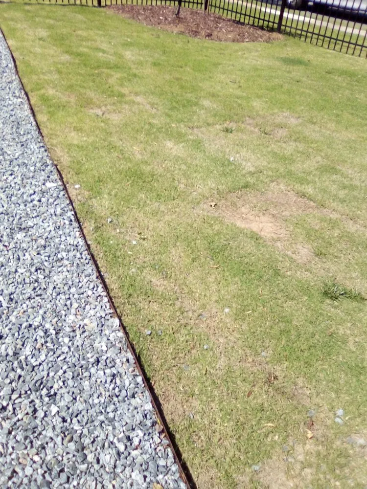 Professional lawn mowing service for year-round maintenance across Rock Hill, SC - Perez Lawn Care