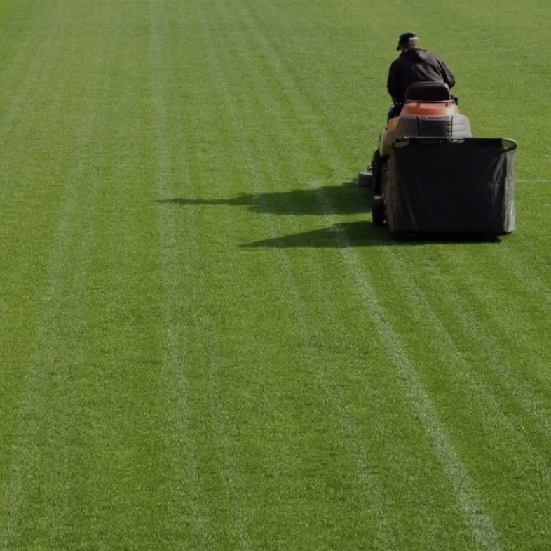 Professional residential landscaping experts serving Harlingen, TX - Perez Lawn Care Services