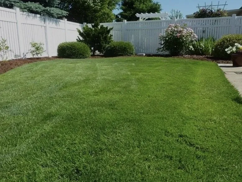 Reliable lawn mowing service experts serving Harlingen, TX - Perez Lawn Care Services