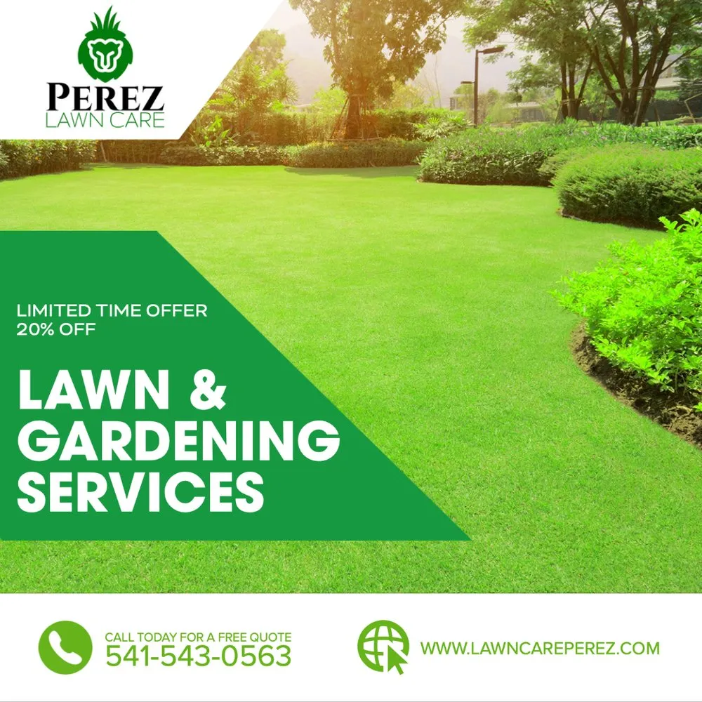 Top-rated outdoor landscaping in Springfield, OR - Perez Lawn Care
