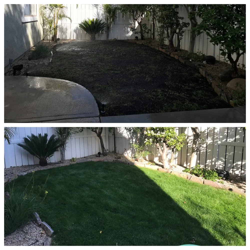 Expert residential landscaping in Stanton, CA by Perez Lawn Care