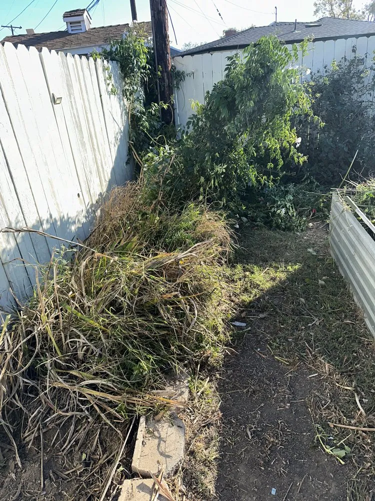 Custom lawn care service for residential properties in Stanton, CA by Perez Lawn Care