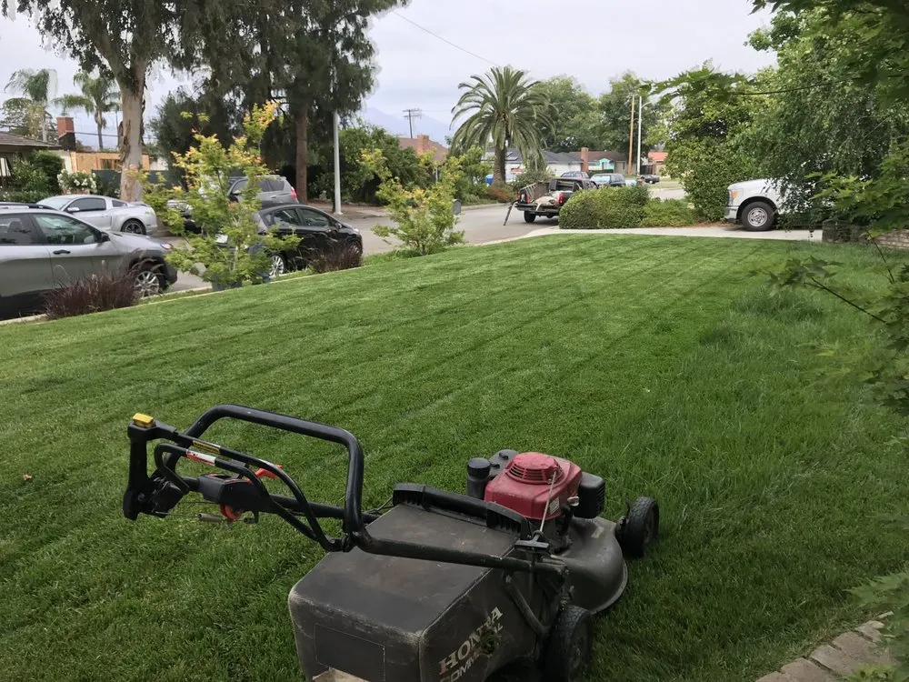 Professional lawn care service for outdoor upgrades in Stanton, CA by Perez Lawn Care