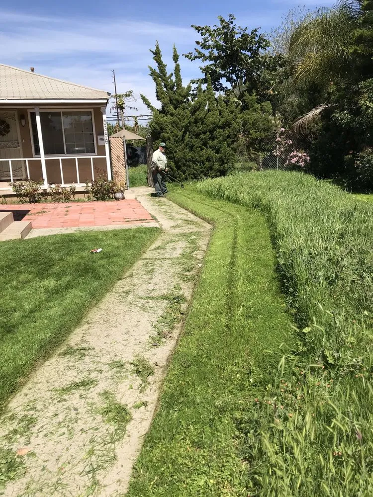 Affordable yard maintenance in Stanton, CA by Perez Lawn Care