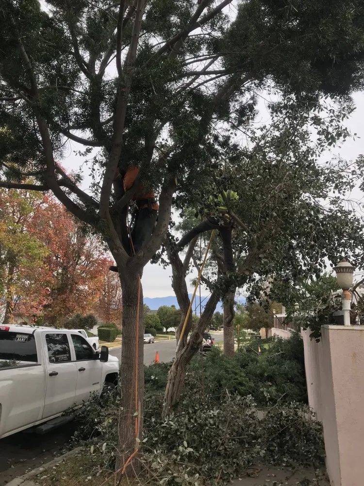 Expert outdoor landscaping for year-round maintenance across Stanton, CA - Perez Lawn Care