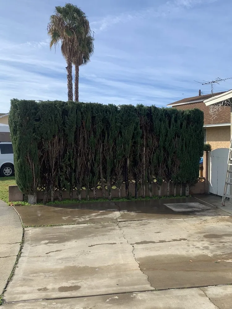 Local yard maintenance experts serving Stanton, CA - Perez Lawn Care