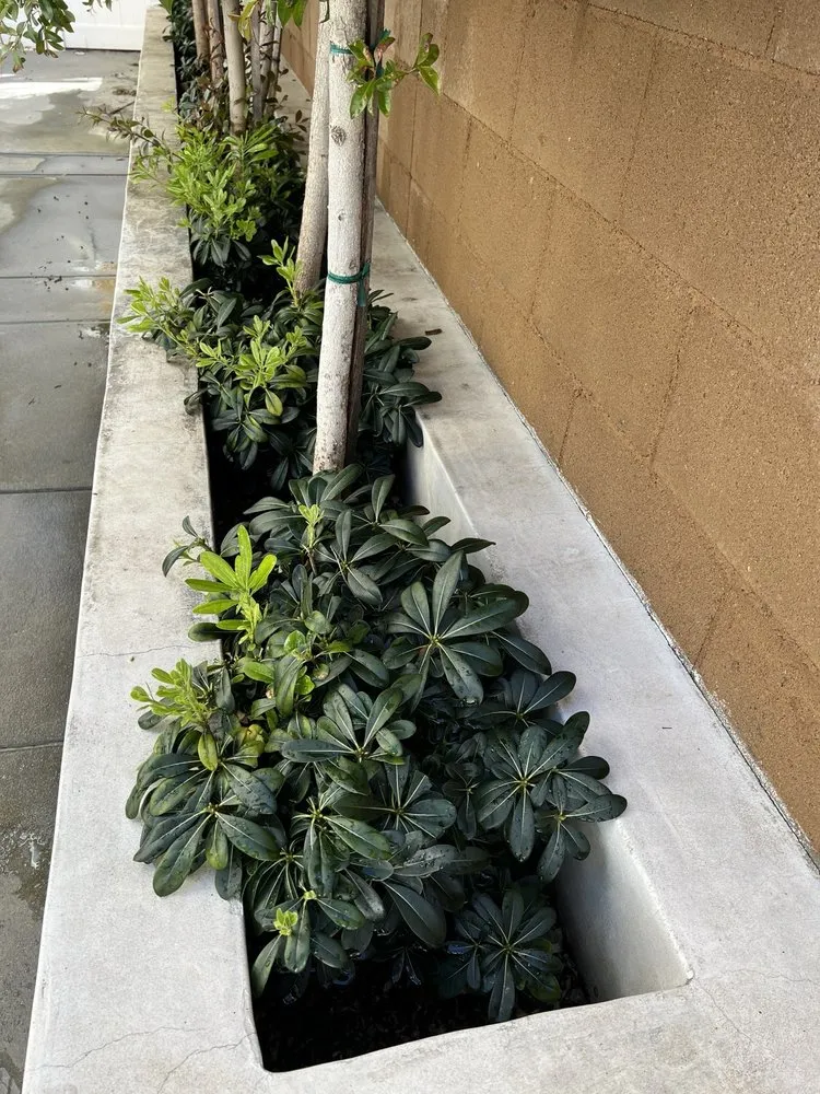 Affordable yard maintenance for residential properties across Stanton, CA - Perez Lawn Care