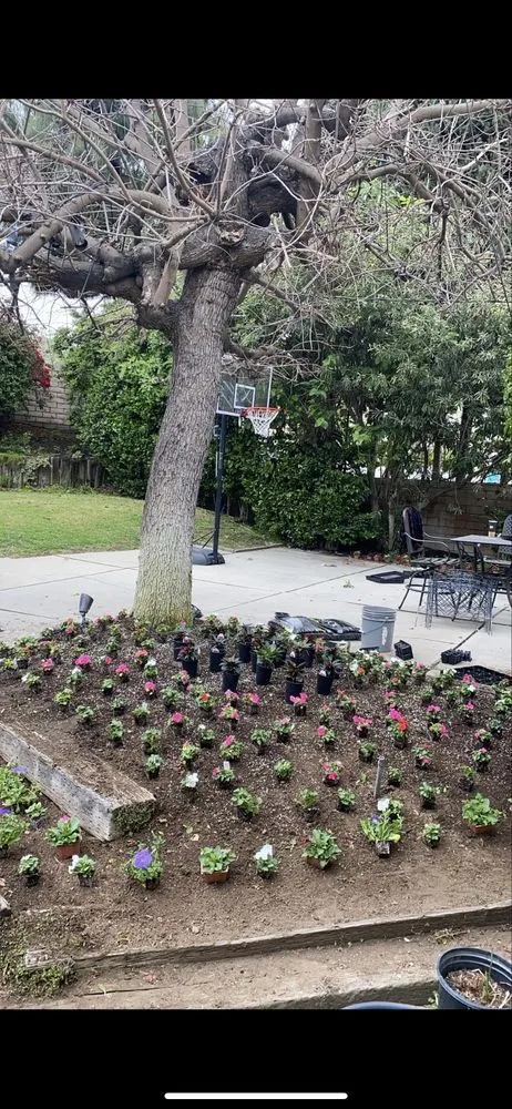 Top-rated landscape installation in Stanton, CA by Perez Lawn Care