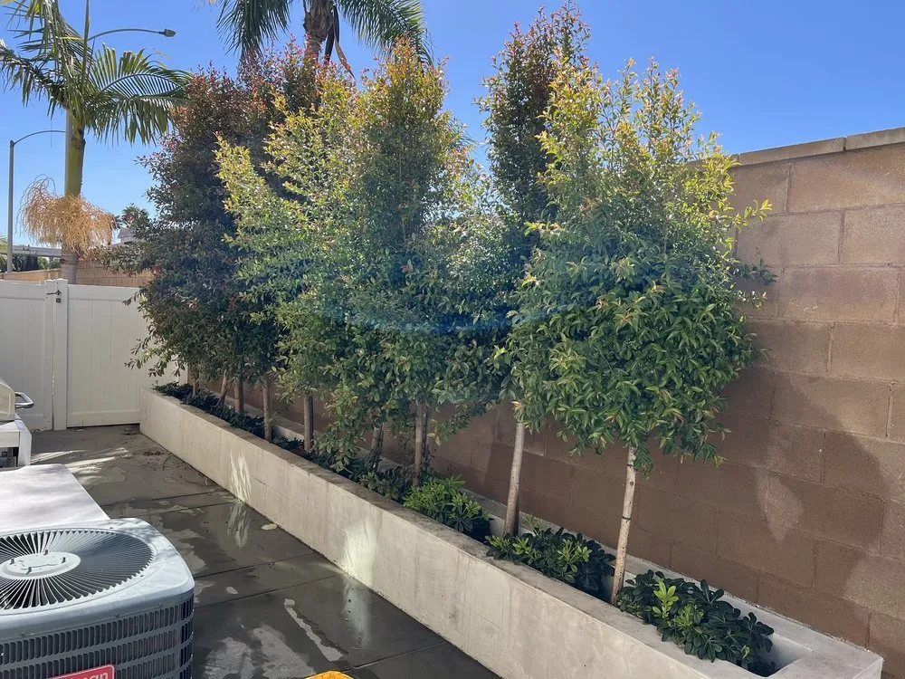 Local residential landscaping for year-round maintenance across Stanton, CA - Perez Lawn Care