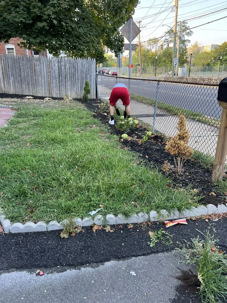 Expert yard cleanup service experts serving Stamford, CT - Perez Lawn Maintenance