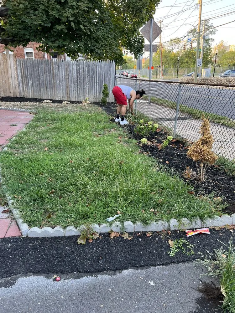 Affordable lawn care service near you in Stamford, CT by Perez Lawn Maintenance